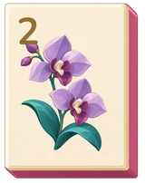 Orchid