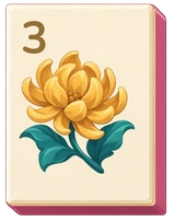 Chrysanthemum